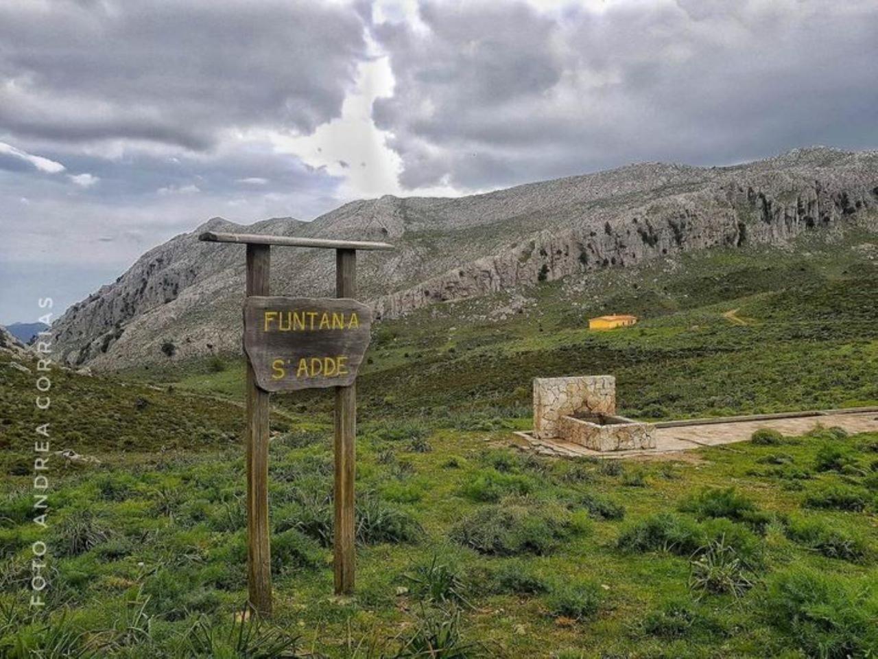 Monolocale Wenge' Villa Siniscola Dış mekan fotoğraf